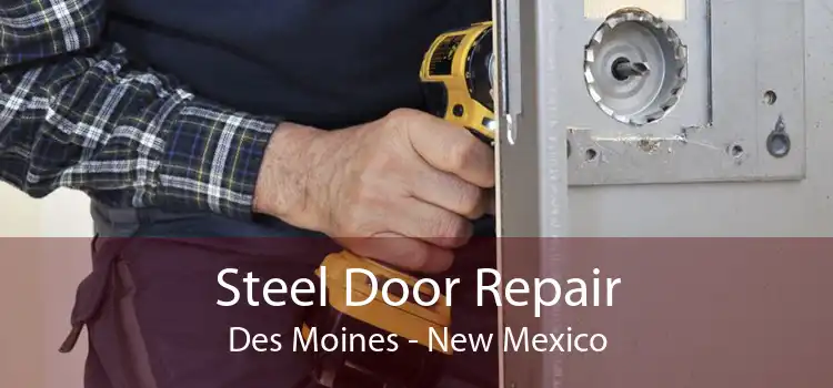 Steel Door Repair Des Moines - New Mexico