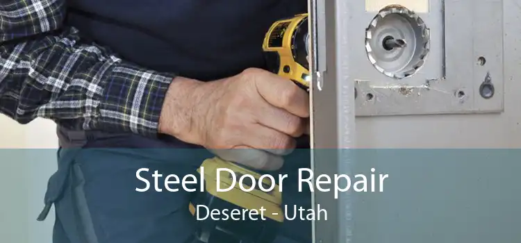 Steel Door Repair Deseret - Utah