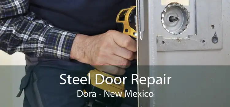 Steel Door Repair Dora - New Mexico