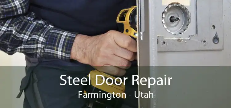 Steel Door Repair Farmington - Utah