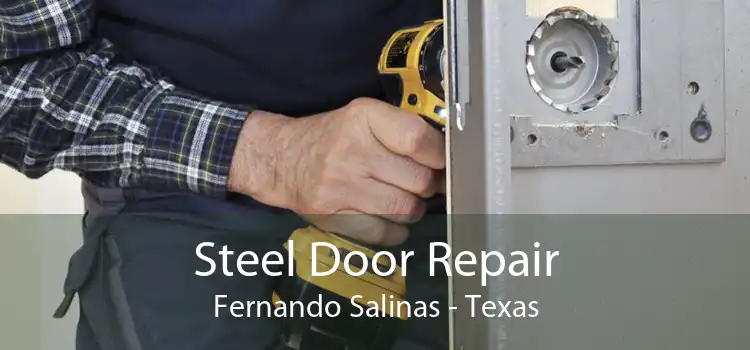 Steel Door Repair Fernando Salinas - Texas