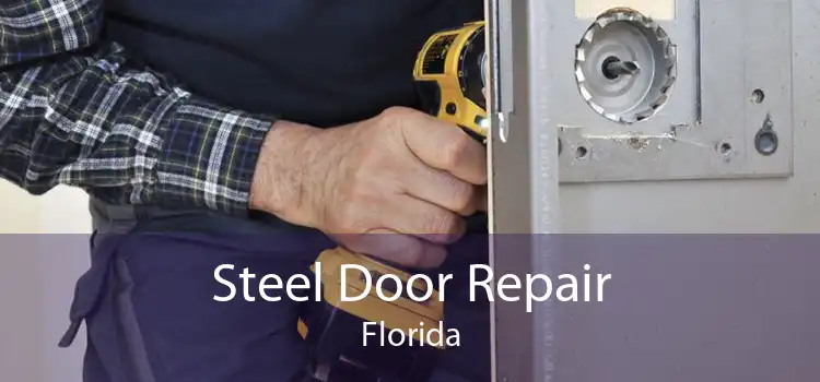 Steel Door Repair Florida