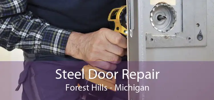 Steel Door Repair Forest Hills - Michigan