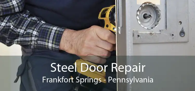 Steel Door Repair Frankfort Springs - Pennsylvania