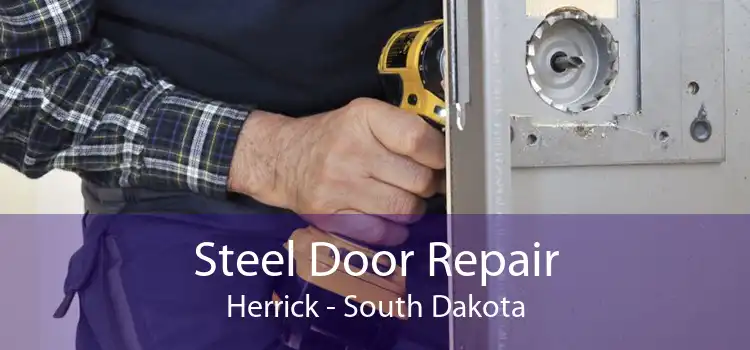 Steel Door Repair Herrick - South Dakota