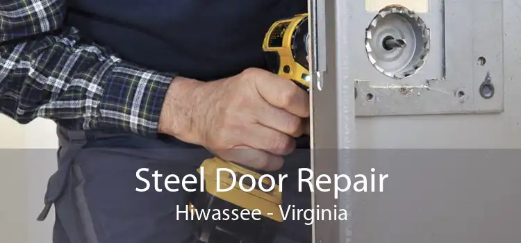 Steel Door Repair Hiwassee - Virginia