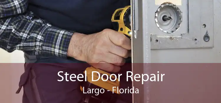 Steel Door Repair Largo - Florida