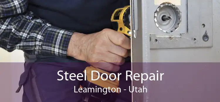 Steel Door Repair Leamington - Utah