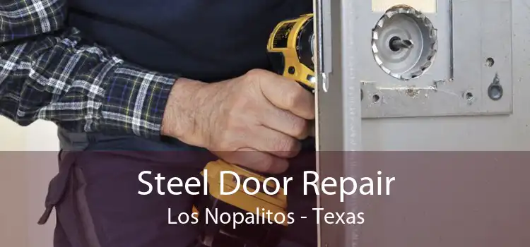 Steel Door Repair Los Nopalitos - Texas