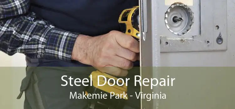 Steel Door Repair Makemie Park - Virginia