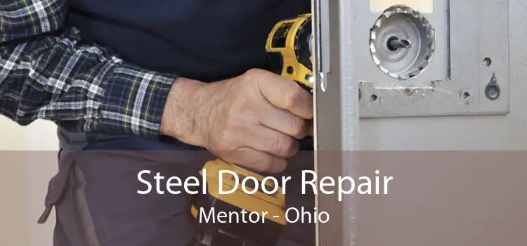 Steel Door Repair Mentor - Ohio