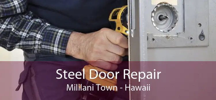 Steel Door Repair Mililani Town - Hawaii