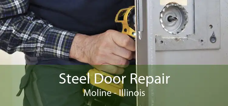 Steel Door Repair Moline - Illinois
