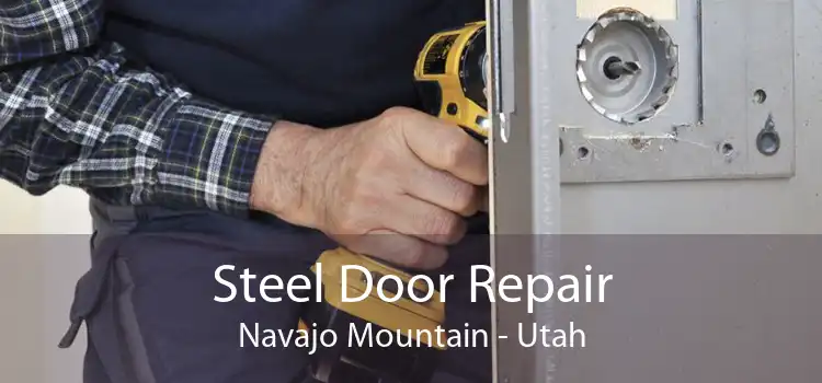 Steel Door Repair Navajo Mountain - Utah
