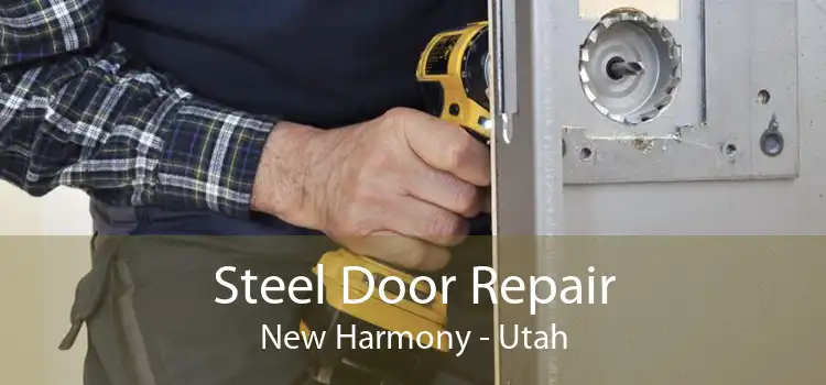Steel Door Repair New Harmony - Utah