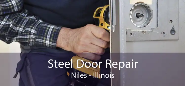 Steel Door Repair Niles - Illinois