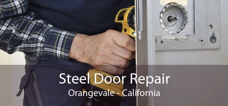 Steel Door Repair Orangevale - California