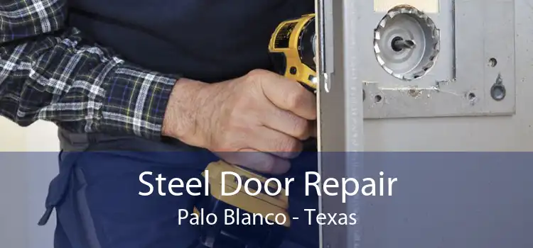 Steel Door Repair Palo Blanco - Texas