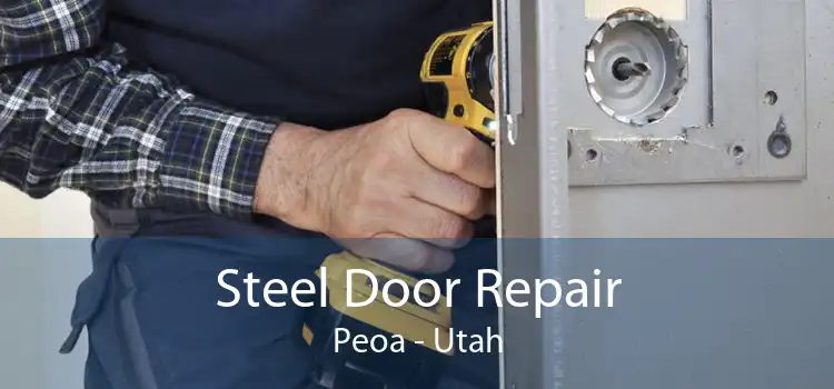 Steel Door Repair Peoa - Utah