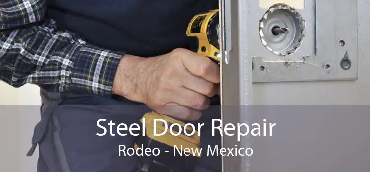 Steel Door Repair Rodeo - New Mexico