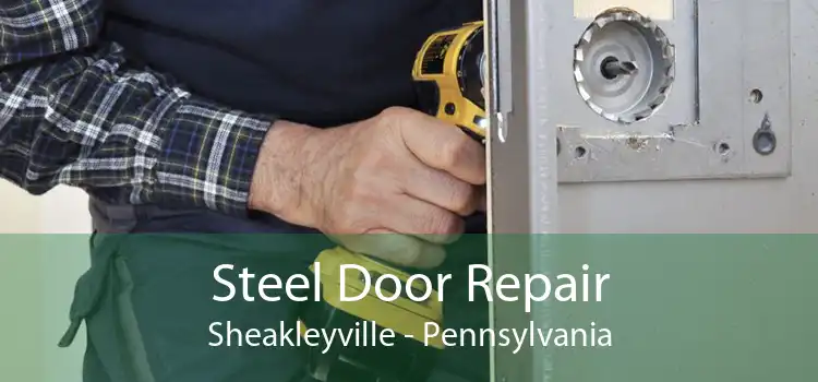 Steel Door Repair Sheakleyville - Pennsylvania