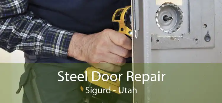 Steel Door Repair Sigurd - Utah