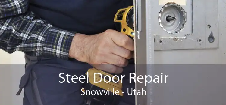 Steel Door Repair Snowville - Utah