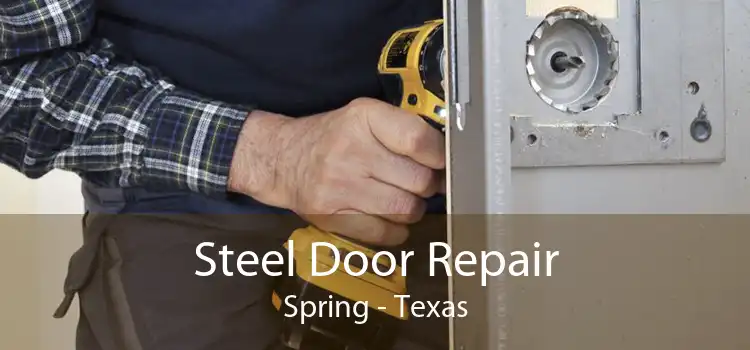 Steel Door Repair Spring - Texas