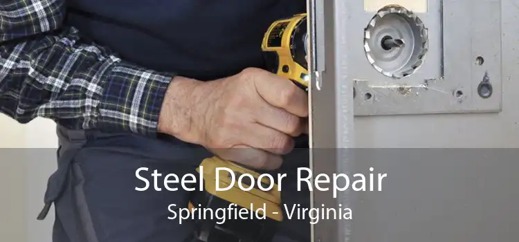 Steel Door Repair Springfield - Virginia