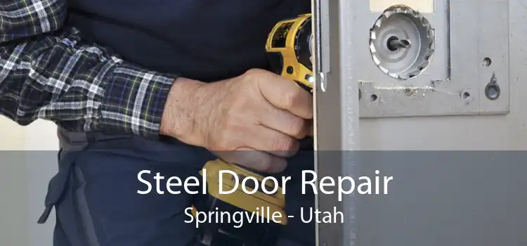 Steel Door Repair Springville - Utah