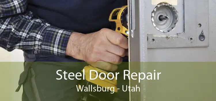 Steel Door Repair Wallsburg - Utah