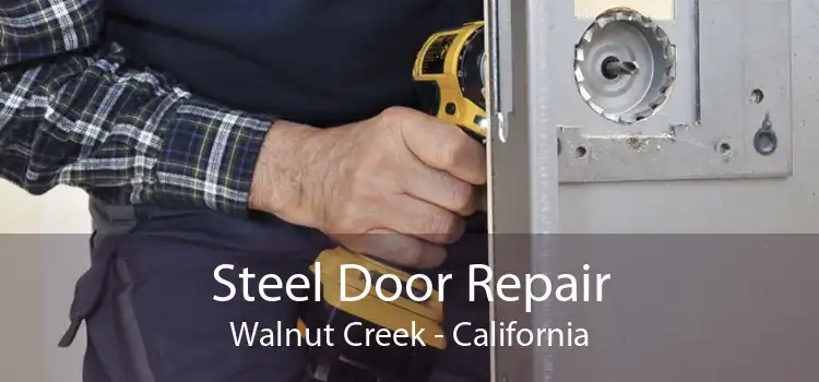 Steel Door Repair Walnut Creek - California