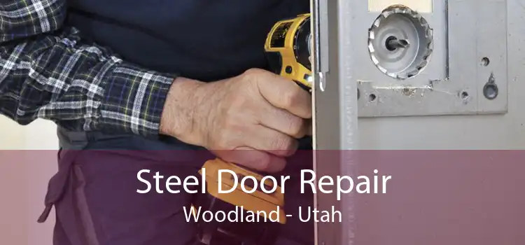 Steel Door Repair Woodland - Utah
