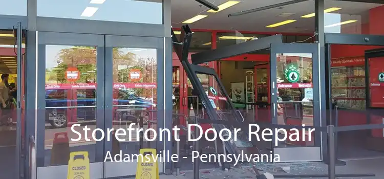 Storefront Door Repair Adamsville - Pennsylvania