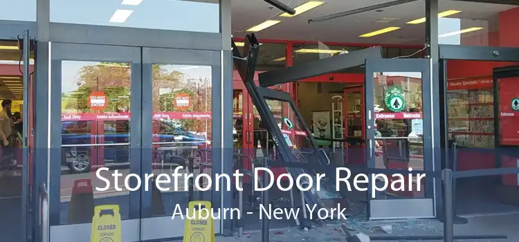 Storefront Door Repair Auburn - New York