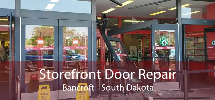 Storefront Door Repair Bancroft - South Dakota