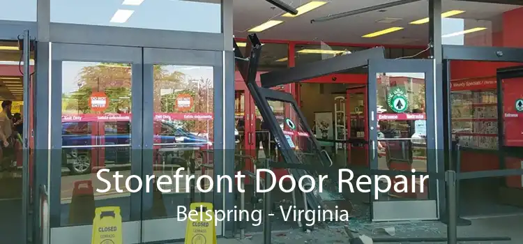 Storefront Door Repair Belspring - Virginia