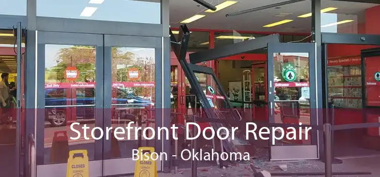 Storefront Door Repair Bison - Oklahoma