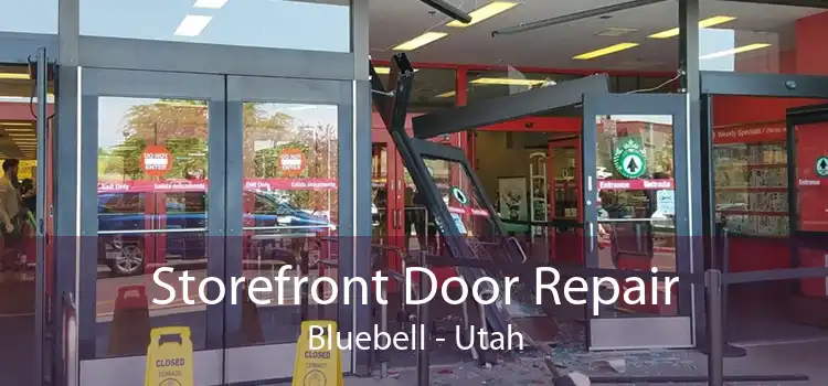Storefront Door Repair Bluebell - Utah