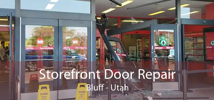 Storefront Door Repair Bluff - Utah