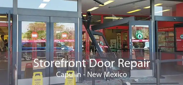 Storefront Door Repair Capulin - New Mexico