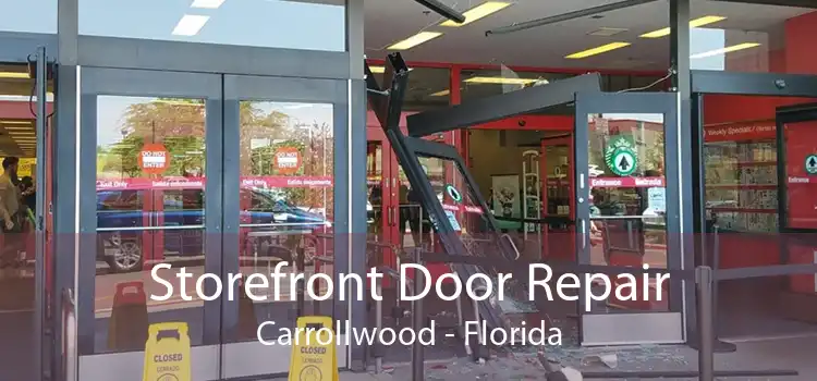 Storefront Door Repair Carrollwood - Florida