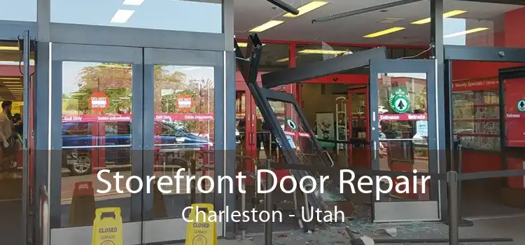Storefront Door Repair Charleston - Utah