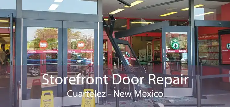 Storefront Door Repair Cuartelez - New Mexico