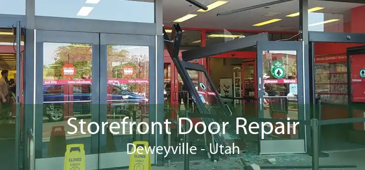 Storefront Door Repair Deweyville - Utah