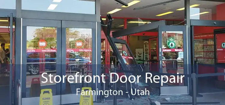Storefront Door Repair Farmington - Utah