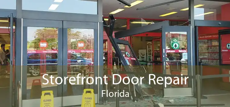 Storefront Door Repair Florida