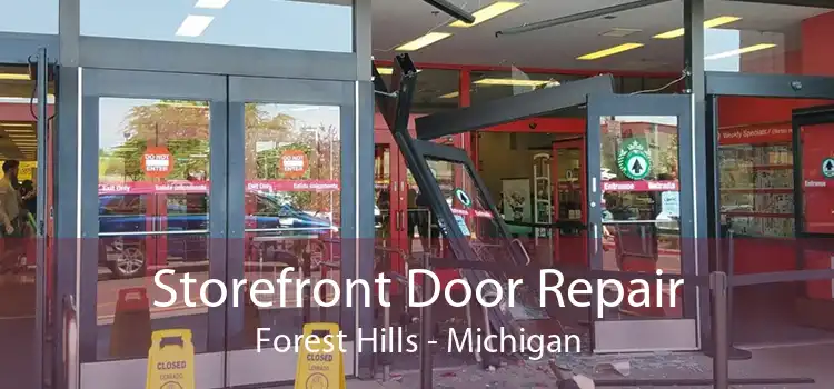 Storefront Door Repair Forest Hills - Michigan