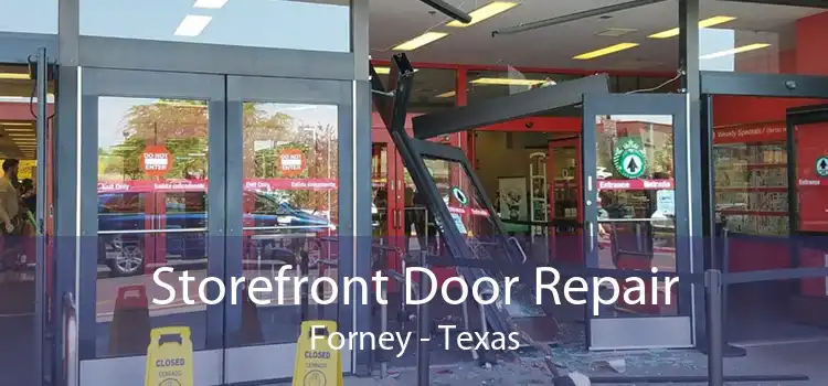 Storefront Door Repair Forney - Texas