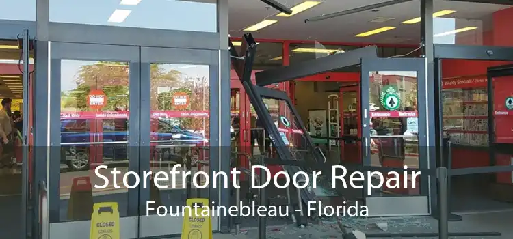 Storefront Door Repair Fountainebleau - Florida